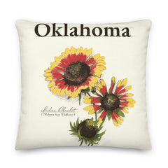 Oklahoma Wildflower Indian Blanket 22-inch by 22-inch Throw Pillow Front