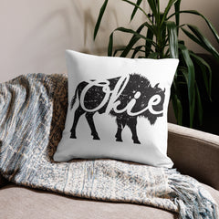22 by 22 inch Okie Bison Throw Pillow