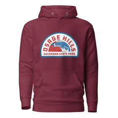 Oklahoma State Parks Vintage Logo Hoodie in Forest Green