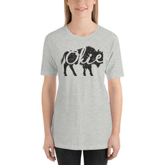 Okie Bison Unisex Adult T-Shirt in Heather Prism Mint.