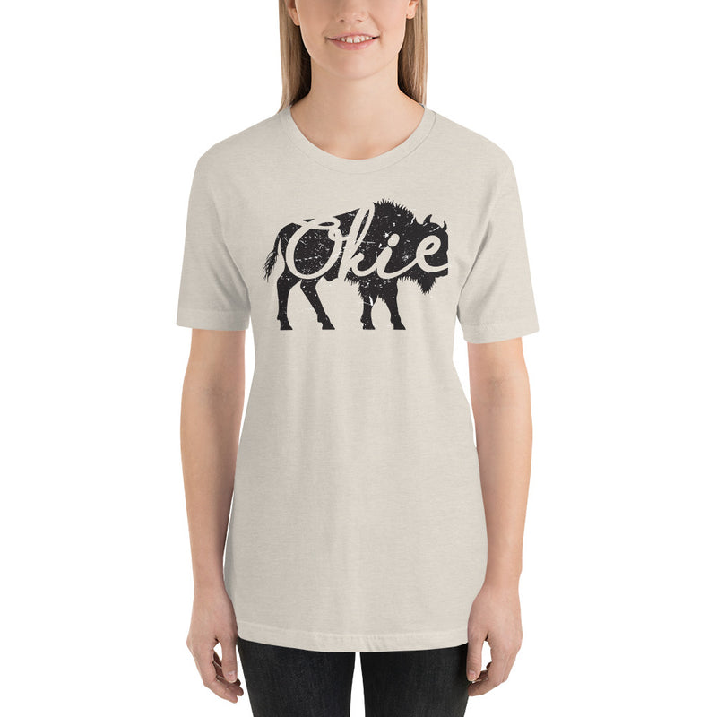 Okie Bison Unisex Adult T-Shirt in Heather Prism Mint.