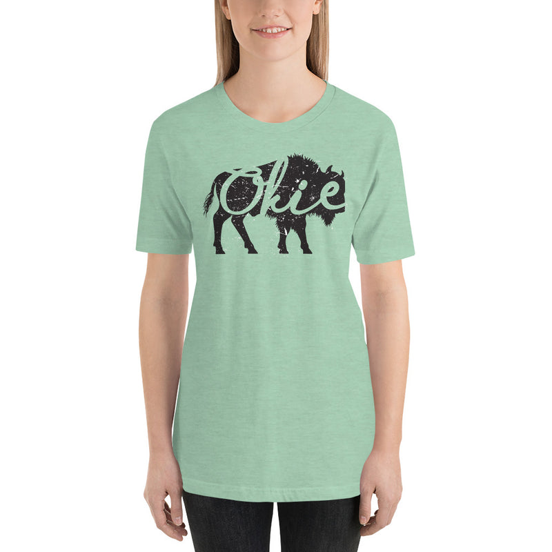 Okie Bison Unisex Adult T-Shirt in Heather Prism Mint.