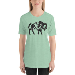 Okie Bison Unisex Adult T-Shirt in Heather Prism Mint.