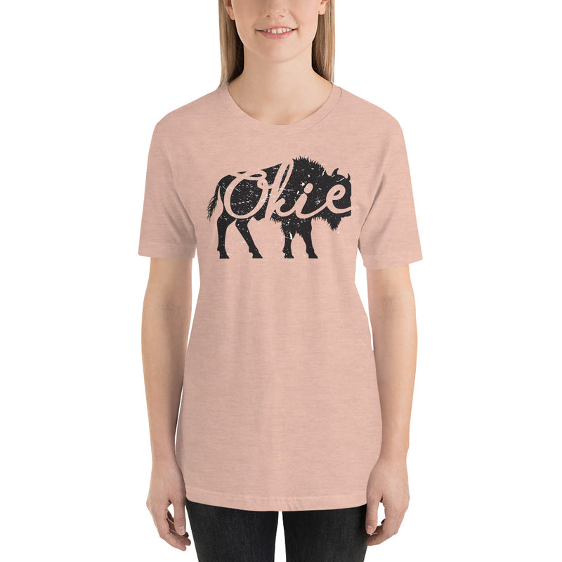 Okie Bison Unisex Adult T-Shirt in Heather Prism Mint.
