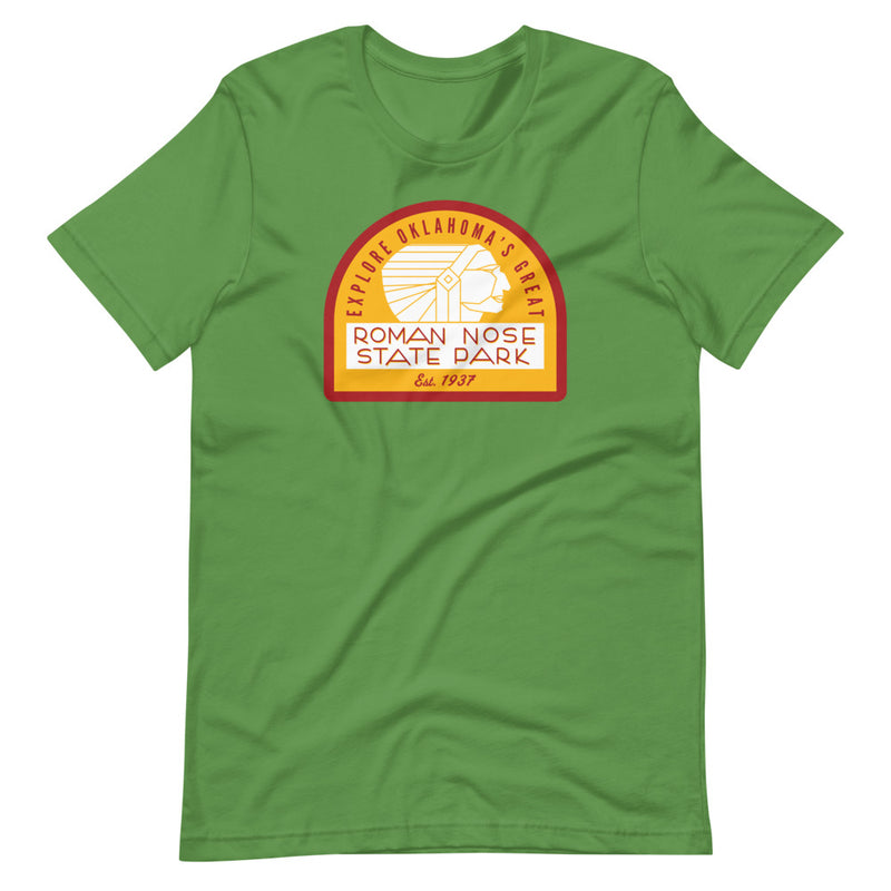 Roman Nose State Park T-Shirt in Black Heather