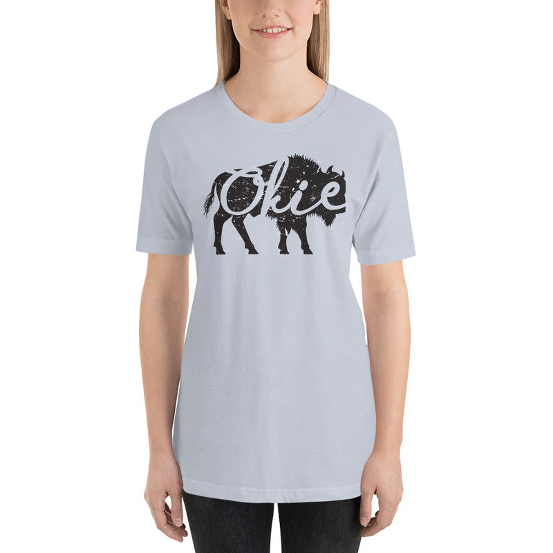 Okie Bison Unisex Adult T-Shirt in Heather Prism Mint.